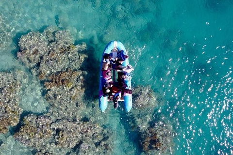 Glass-bottom Boat Tour With Whitehaven Beach - Tourism Townsville 0