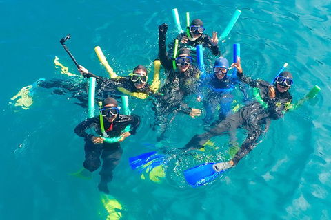 Glass-bottom Boat Tour With Whitehaven Beach - Tourism Townsville 1