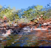 Litchfield and Jumping Crocodiles Full Day Trip from Darwin - Tourism Townsville