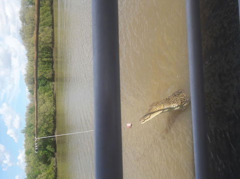 Darwin Jumping Crocodiles Cruise On Adelaide River - Tourism Townsville 3