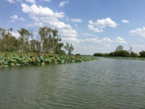 1 Day Corroboree Billabong Wetland Experience Including 2.5 Hour Cruise + Lunch - Tourism Townsville 4