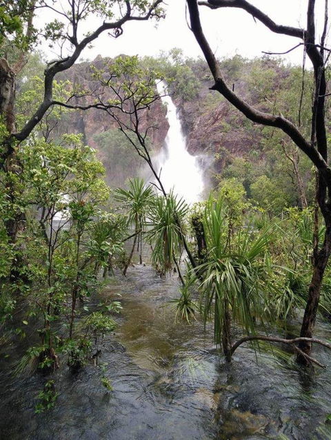 Small-Group Litchfield National Park Day Trip From Darwin - Tourism Townsville 6
