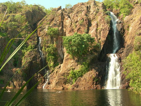 Small-Group Litchfield National Park Day Trip From Darwin - Tourism Townsville 15