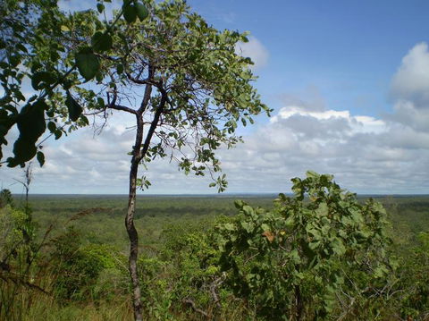 Small-Group Litchfield National Park Day Trip From Darwin - Tourism Townsville 8