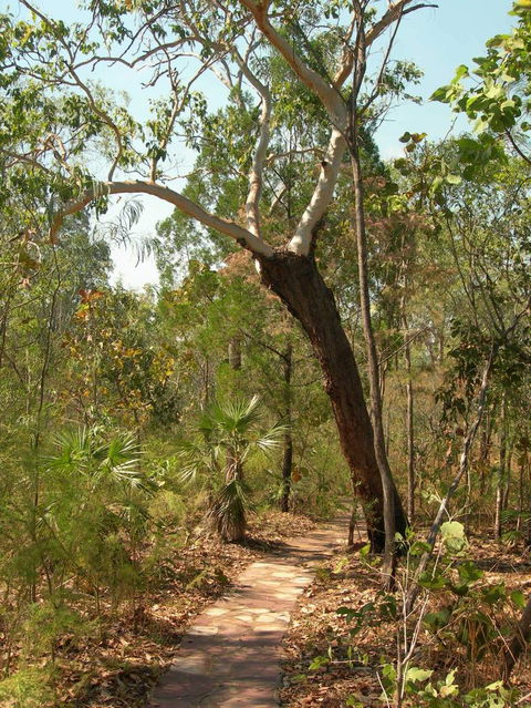 Small-Group Litchfield National Park Day Trip From Darwin - Tourism Townsville 14