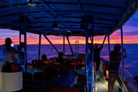 Darwin Sunset Cruise, Including Fish \'n\' Chips - Tourism Townsville 9