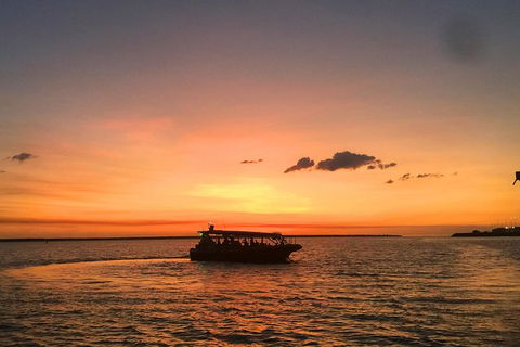 Darwin Sunset Cruise, Including Fish \'n\' Chips - Tourism Townsville 11