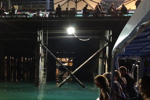 Darwin Sunset Cruise, Including Fish \'n\' Chips - Tourism Townsville 8