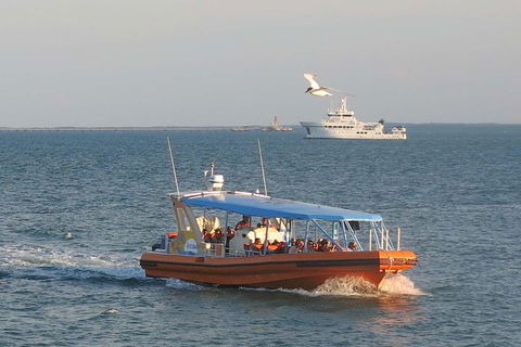 1-Hour Darwin Harbour Highlights Cruise - Tourism Townsville 0