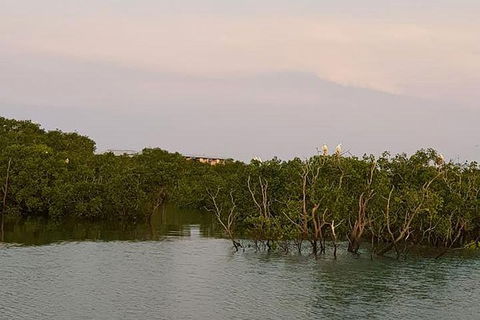 1-Hour Darwin Harbour Highlights Cruise - Tourism Townsville 7