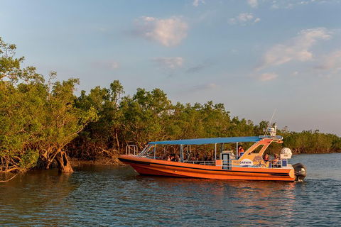 1-Hour Darwin Harbour Highlights Cruise - Tourism Townsville 3