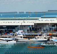 Darwin Harbour Bombing of Darwin Cruise - Tourism Townsville