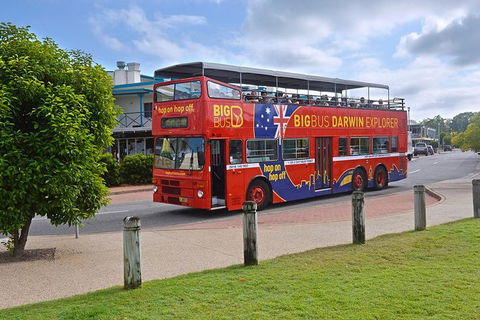 Darwin Shore Excursion: Hop-on Hop-off Bus Tour - Tourism Townsville 0