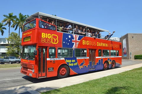 Darwin Shore Excursion: Hop-on Hop-off Bus Tour - Tourism Townsville 12