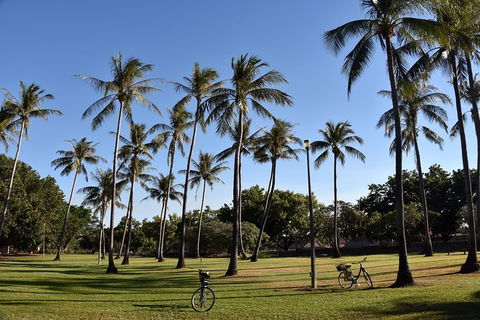 Darwin Shore Excursion: Hop-on Hop-off Bus Tour - Tourism Townsville 11