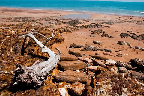 Darwin Hop-on Hop-off Bus Tour - Tourism Townsville 5