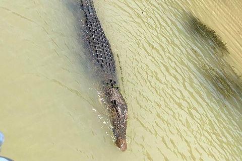 Kakadu National Park Scenic Flight & Cruise - Tourism Townsville 11