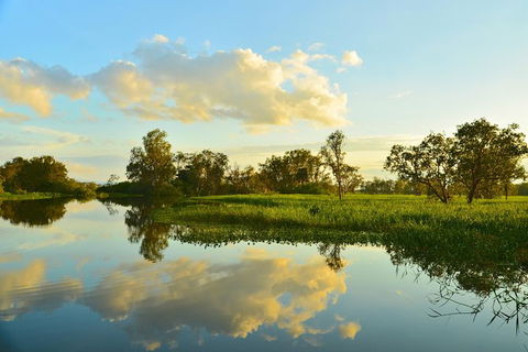 Kakadu National Park Scenic Flight & Cruise - Tourism Townsville 13