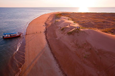 Turtle Tracks Tour To Bare Sand Island From Darwin - Tourism Townsville 6