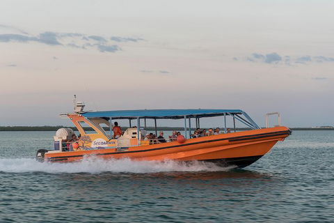 Turtle Tracks Tour To Bare Sand Island From Darwin - Tourism Townsville 5