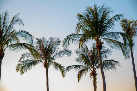 Darwin City Sightseeing Tour With Optional Sunset Cruise - Tourism Townsville 1