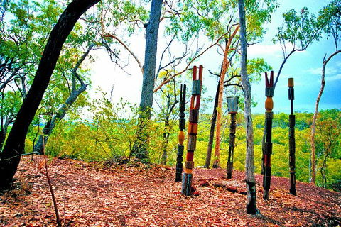 Tiwi Islands Cultural Experience From Darwin Including Ferry - Tourism Townsville 1