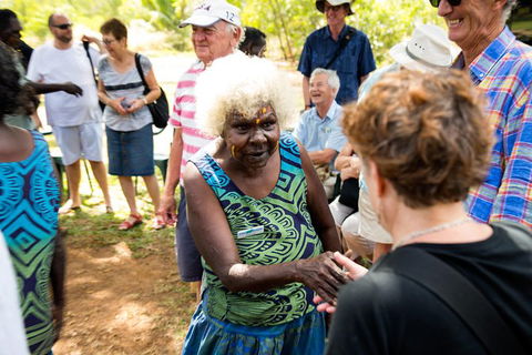 Tiwi Islands Cultural Experience From Darwin Including Ferry - Tourism Townsville 0