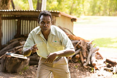 Tiwi Islands Cultural Experience From Darwin Including Ferry - Tourism Townsville 5
