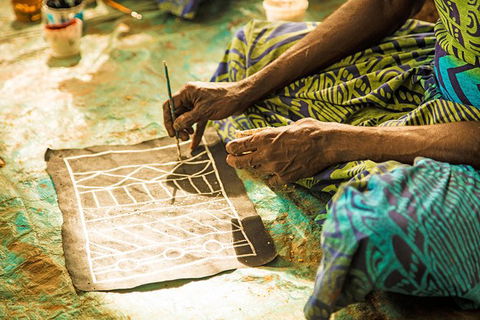 Tiwi Islands Cultural Experience From Darwin Including Ferry - Tourism Townsville 7