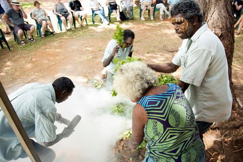 Tiwi Islands Cultural Experience From Darwin Including Ferry - Tourism Townsville 10