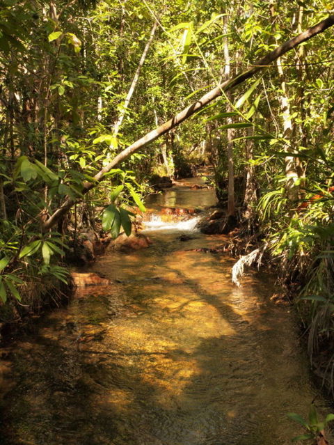 Katherine Day Tour From Darwin Including Katherine Gorge Cruise - Tourism Townsville 10