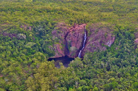 Litchfield Park & Daly River - Scenic Flight From Darwin - Tourism Townsville 9