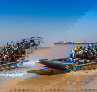 1 Hour Darwin Airboat Tours - Tourism Townsville
