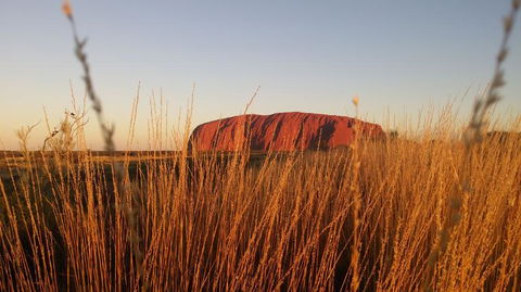 4-Day Camping Trip From Ayers Rock Including Uluru, Kata Tjuta And Kings Canyon - Tourism Townsville 2