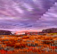 4-Day Camping Trip from Ayers Rock Including Uluru Kata Tjuta and Kings Canyon - Tourism Townsville