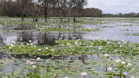 Kakadu, Nourlangie And Yellow Waters Tour From Darwin - Tourism Townsville 12