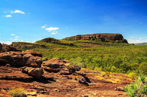 Kakadu, Nourlangie And Yellow Waters Tour From Darwin - Tourism Townsville 34