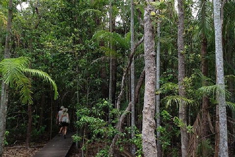 Litchfield National Park And Jumping Crocodile Cruise - Tourism Townsville 5