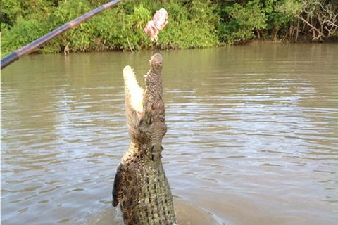 Litchfield National Park And Jumping Crocodile Cruise - Tourism Townsville 10