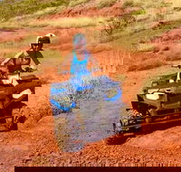 Aussie Outback Air and Land Tour Including Quad Bike Ride - Tourism Townsville