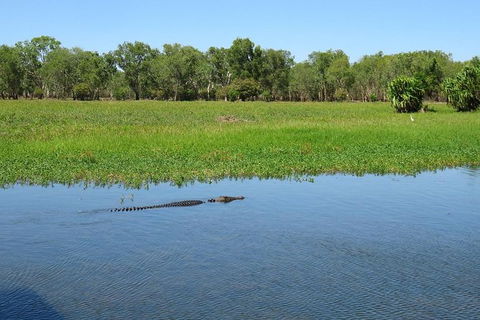Darwin To Kakadu Day Trip By Air Including Yellow Water Cruise - Tourism Townsville 8