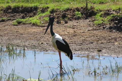 Darwin To Kakadu Day Trip By Air Including Yellow Water Cruise - Tourism Townsville 12