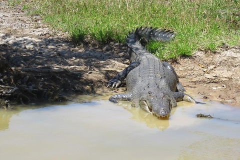 Darwin To Kakadu Day Trip By Air Including Yellow Water Cruise - Tourism Townsville 5