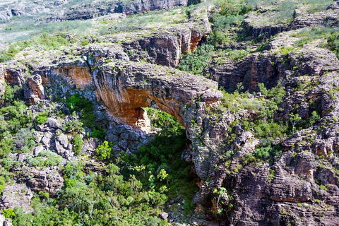 Darwin To Kakadu Day Trip By Air Including Yellow Water Cruise - Tourism Townsville 13