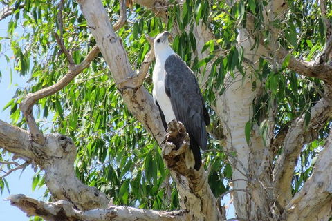 Darwin To Kakadu Day Trip By Air Including Yellow Water Cruise - Tourism Townsville 6