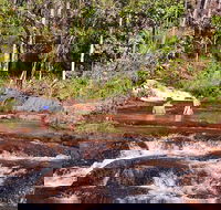 Litchfield National Park Day Tour from Darwin With Waterfalls And Buley Rockhole - Tourism Townsville