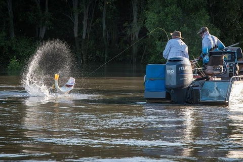Freshwater Or Saltwater Barramundi Fishing Day Trip From Darwin - Tourism Townsville 1
