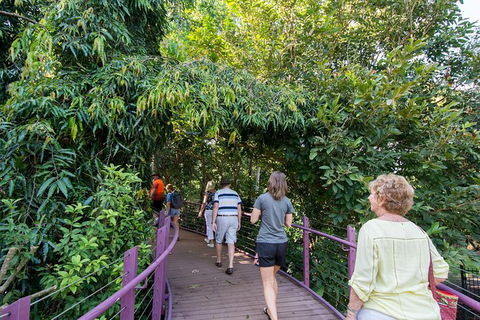 Walk The Darwin Botanic Gardens - Tourism Townsville 1