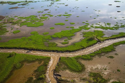 Kakadu National Park Scenic Flight - Tourism Townsville 10