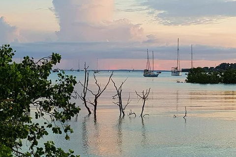 Tropical Light Tropical Bite - Twilight Cruise And CHOW Dinner - Tourism Townsville 7